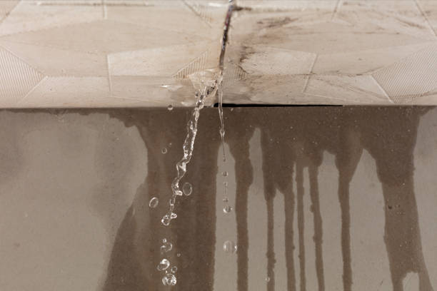 Professional Water Damage Repair technician working in New Rochelle, NY